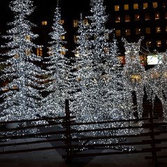 20161124 164527  Granar och älgar på Sergels torg