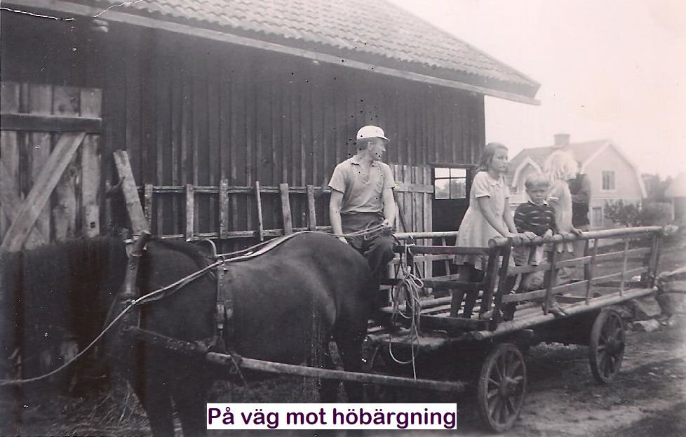 1950_Ingmarsoe4