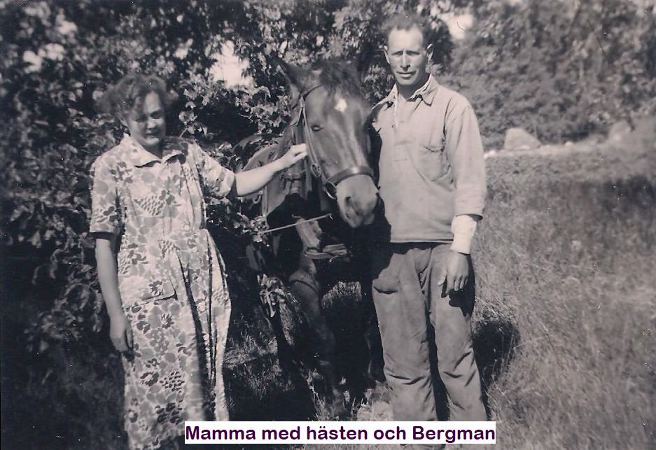 1952_Ingmarsoe5