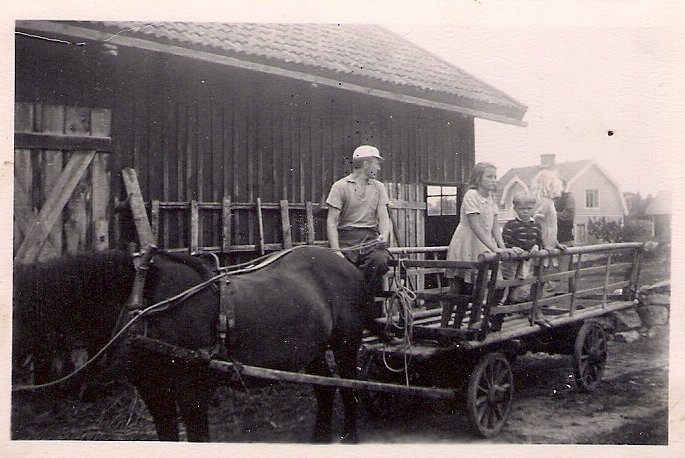 Hoebaergning 1945