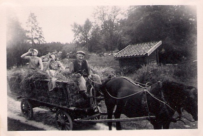 Pappa mamma Johansson1945